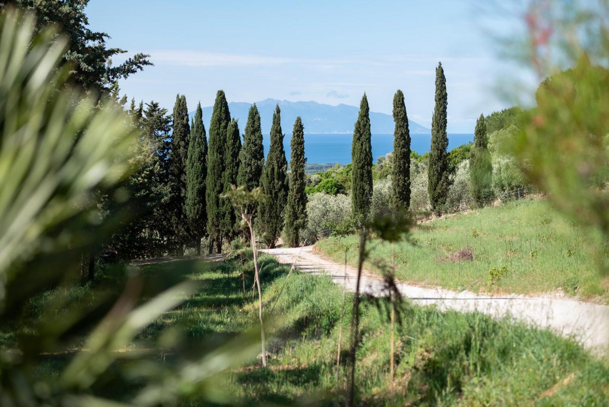 Boutique Hotel Poggio Ai Santi - Adults Only Bauernhof
